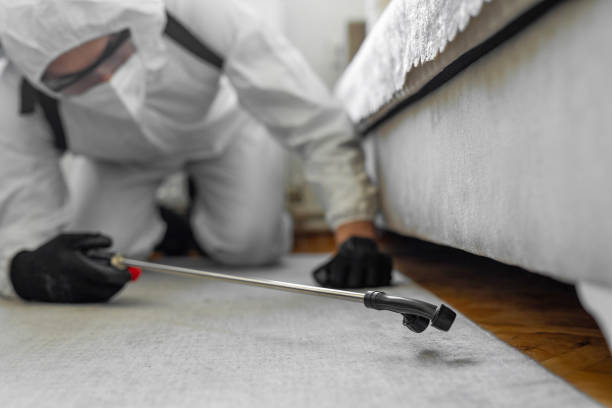Professional Pest Control technician working in Warrensburg, MO