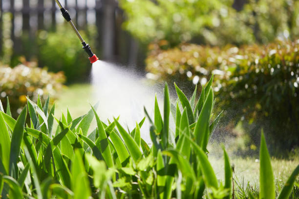 24/7 Emergency Pest Control experts in Warrensburg, MO
