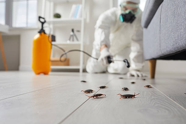 Affordable Pest Control solutions in Warrensburg, MO